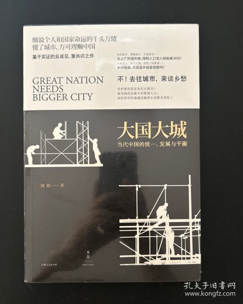 大国大城：当代中国的统一、发展与平衡