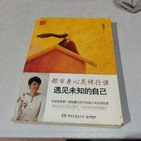 遇见未知的自己：都市身心灵修行课