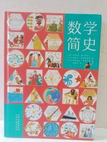 数学简史 做数学优等生小学生数学百科全书 适合7-14岁阅读