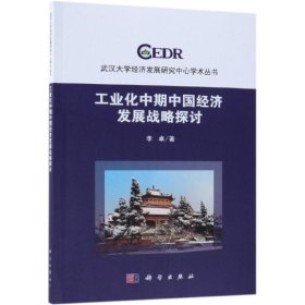 工业化中期中国经济发展战略探讨