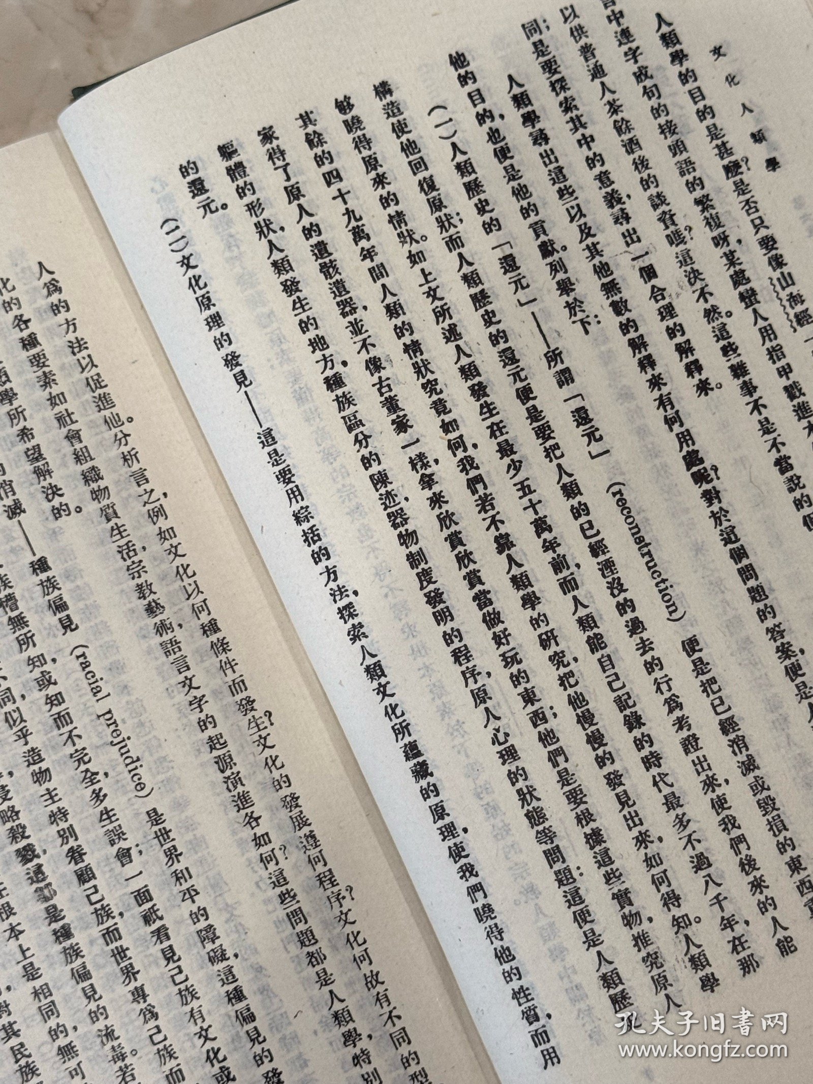 世界人种志 文化人类学（民国丛书 第二编 13 精装 全一册）