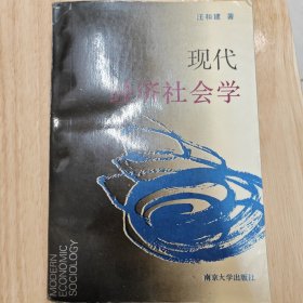 现代经济社会学