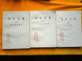 審計(jì)文集（一）基本理論部分（二）內(nèi)部控制部分（四）綜合部分【3本合售】
