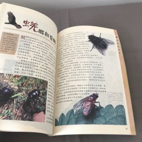 青少年成长必读·人文科学知识丛书：动物的故事（彩图版）