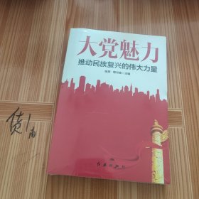 大党魅力