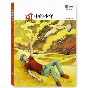 风中的少年(彩图版)