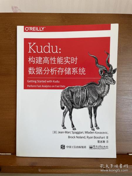 Kudu：构建高性能实时数据分析存储系统(博文视点出品)