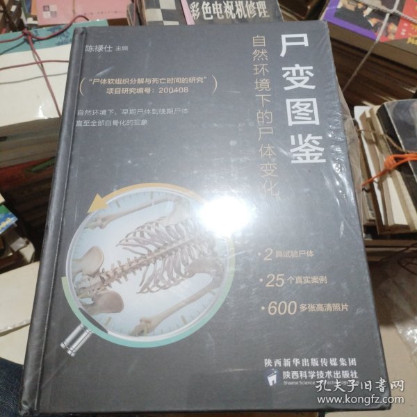 尸变图鉴：自然环境下的尸体变化