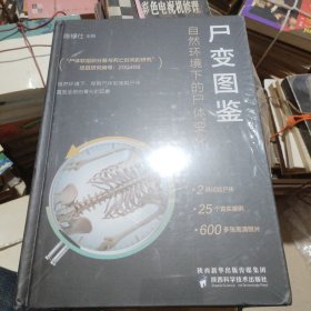 尸变图鉴:自然环境下的尸体变化