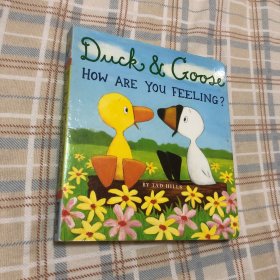 Duck & Goose, How Are You Feeling?