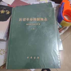 沂蒙革命根据地志(上册)