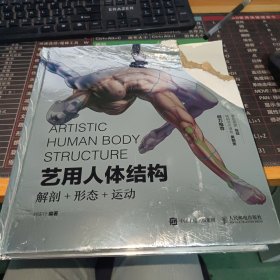 艺用人体结构 解剖形态运动