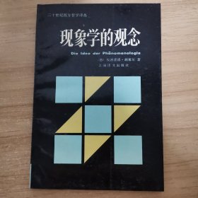 现象学的观念