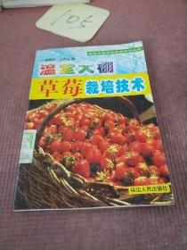 溫室大棚草莓栽培技術