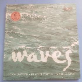 waves 英文原版画册