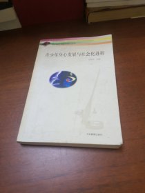 青少年身心发展与社会化进程