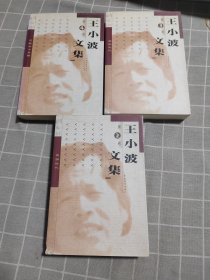 王小波文集（第 2、3、4 卷）3 本合售