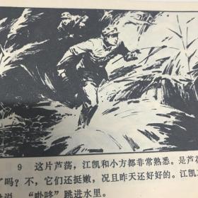 贝壳湾擒黑鳗 连环画 1977年一印九品Gk区