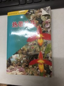 热带兰花