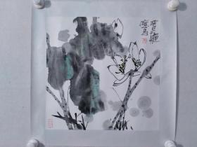 保真书画，邱应昌花卉画一幅，尺寸：40*40纸本镜心，四川已故著名书画家，中国工艺美术学会会员，四川省美术家协会会员，四川省工艺美术学会书画专业委员会常委，四川省文史馆巴蜀诗书画研究会会员