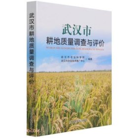 正版书武汉市耕地质量调查与评论