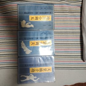 天罡大周天 天罡桶子功 地煞小周天