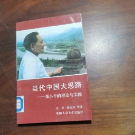 当代中国大思路 邓小平的理论与实践