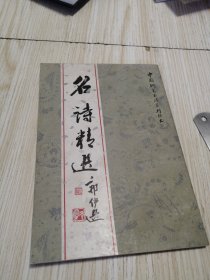 中国钢笔书法系列丛书 ：名诗精选 实物拍图品相自鉴 干干净净自然旧