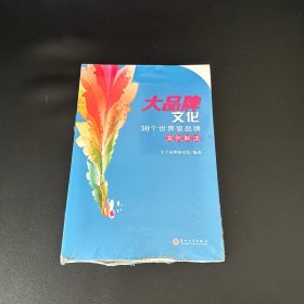 大品牌文化：30个世界级品牌案例解读