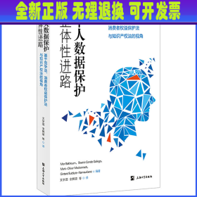 个人数据保护整体性进路 基于竞争法、消费者权益保护法与知识产权法的视角 (德)莫尔·巴库姆(MorBakhoum)等编著 上海大学出版社