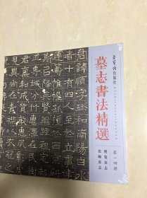 墓志书法精选：第十四册