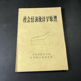 社会经济统计学原理