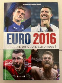 2016欧洲杯国外原版足球画册