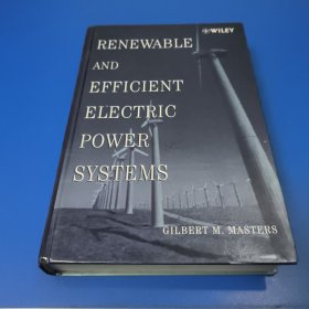 RENEWABLE AND EFFICIENT ELECTRIC POWER SYSTEMS可再生高效电力系统