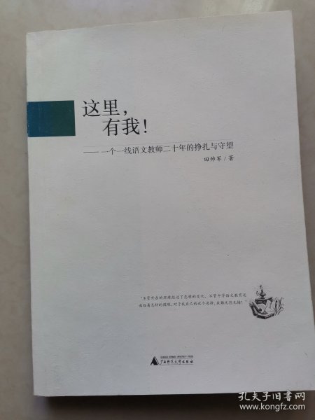 这里有我：一个一线语文教师二十年的挣扎与守望