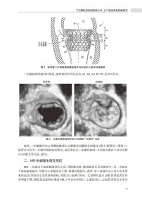 心脏病学实践2021（全7册）第五分册结构性心脏病 9787117322225