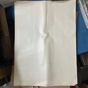 人体寄生虫挂图 【全套14张】