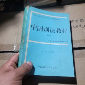 中国刑法教程(修订版)