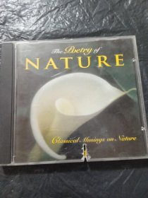 打口CD：NATURE