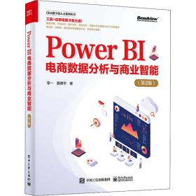 Power BI电商数据分析与商业智能（第2版）