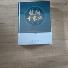 桂阳千家坪（上下册）