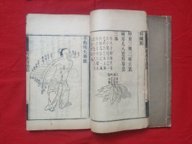 清同治 竹纸木刻 《医学指归》两册两卷全 旌孝堂藏板 有十二经络图像24幅 㕠湖先生人物肖像一幅 后附（奇经八脉歌 穴同名異类 名同穴異类） 品佳