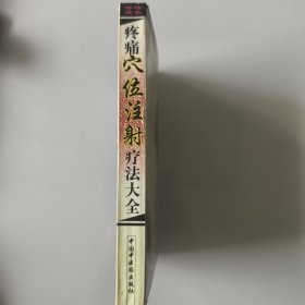 疼痛穴位注射疗法大全——疼痛特色特效疗法大全丛书