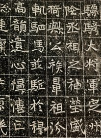 几十年前所拓，陕西考古院藏石，极为少见的北魏杨氏墓志。书法很好，