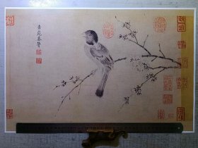 宋画影像，宋徽宗赵佶，写生珍禽图原寸原色画片