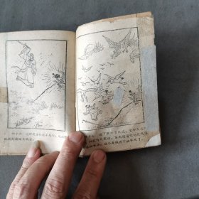 1960年8月 郑若泉繪图 凤仙与龙爪 一册