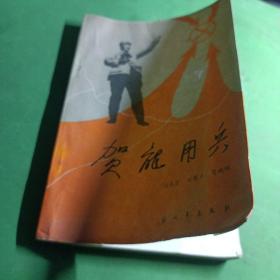 贺龙用兵 有图片