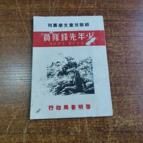少年先锋队员