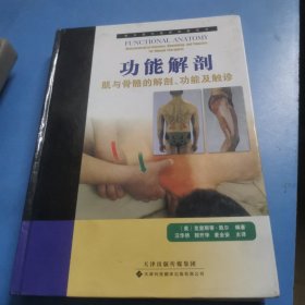 功能解剖：—肌与骨骼的解剖、功能及触诊