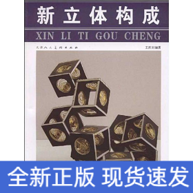 新立體構(gòu)成